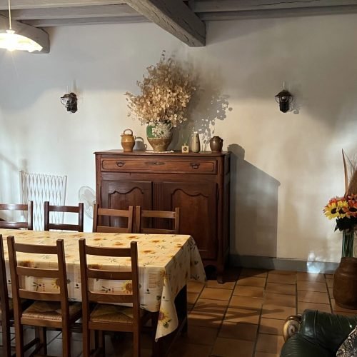 location-saisonniere-gite-vacances-villereal-perigord-bergerac-salon(2)